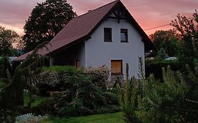 Pod klonem z Balią i Sauną